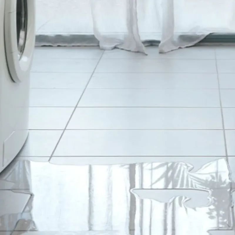 Appliance Leak Cleanup in Picture Rocks, AZ